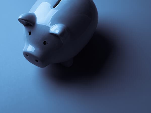 Business Security Compliance Features 600x450 Image of a porcelain piggy bank